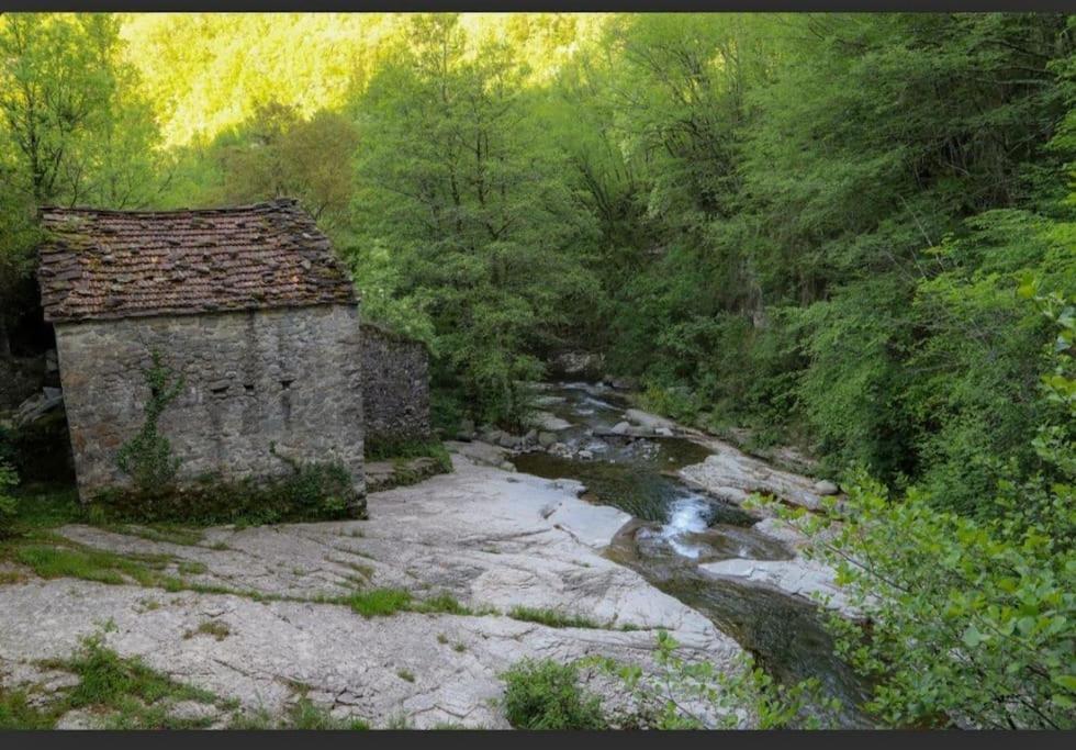 Wayne'S House, A Short Walk To The Waterfalls Bagnone Dış mekan fotoğraf