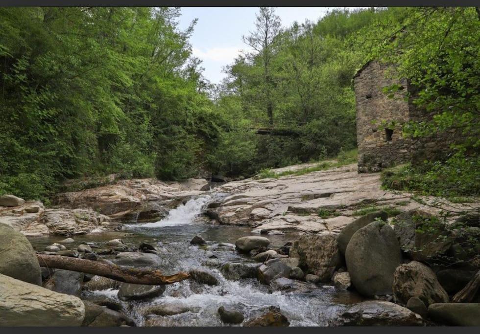 Wayne'S House, A Short Walk To The Waterfalls Bagnone Dış mekan fotoğraf